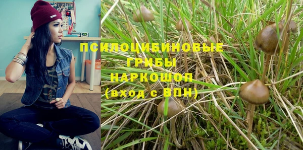 эйфоретик Алексин