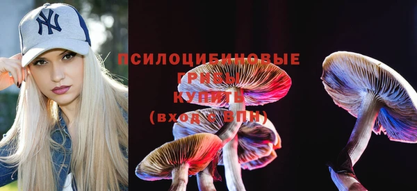 винт Арсеньев
